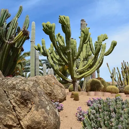 Lantana Hotel&apartments