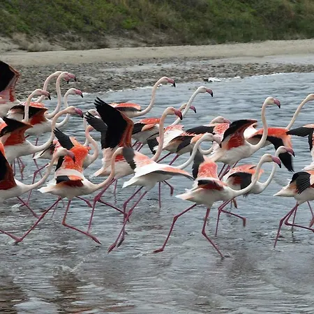 Hotell Lantana Hotel&apartments 4*