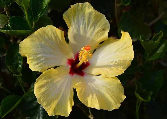 Lantana Hotel&apartments Pula