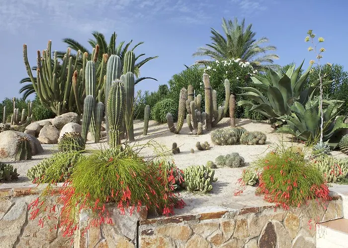 Lantana Hotel&apartments