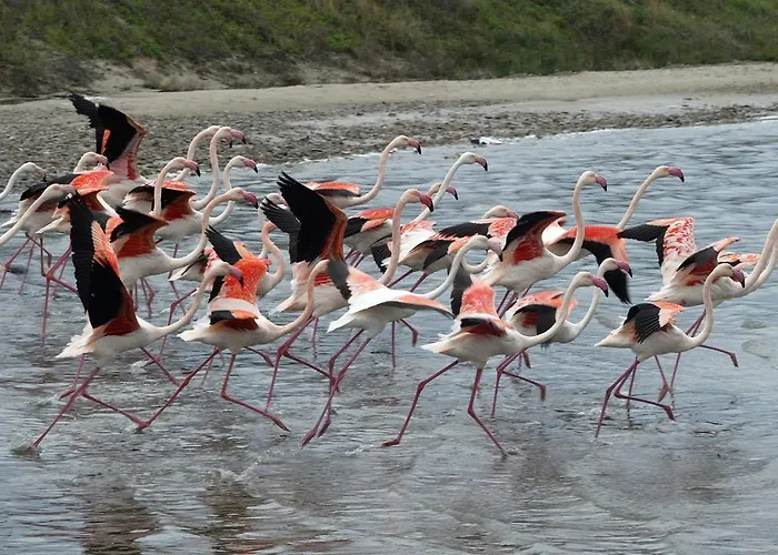 Hotel Lantana Hotel&apartments 4*