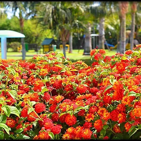 מלון Lantana Hotel&apartments פולה