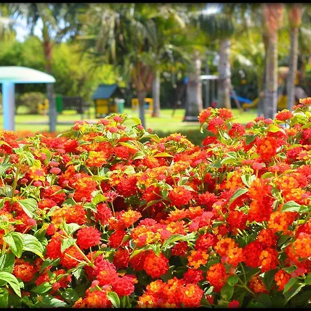 Hotel Lantana Hotel&apartments