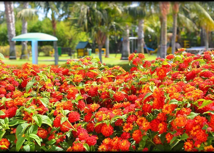 Hotel Lantana Hotel&apartments