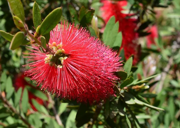 Lantana Hotel&apartments Pula