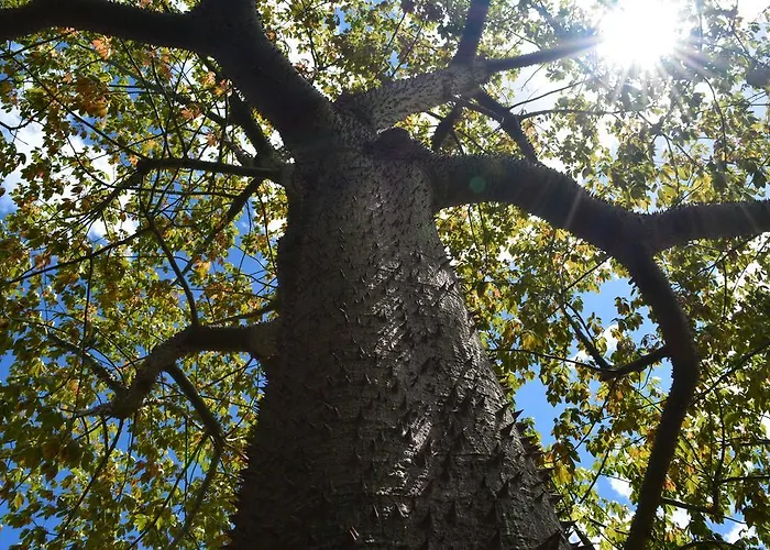 Hotel Lantana Hotel&apartments