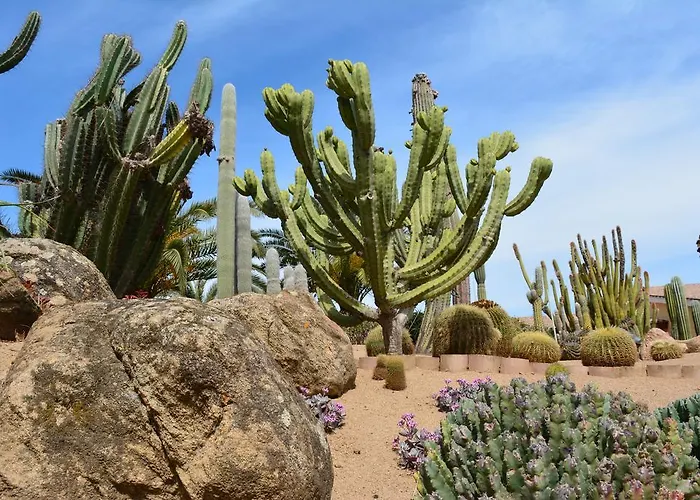 Lantana Hotel&apartments